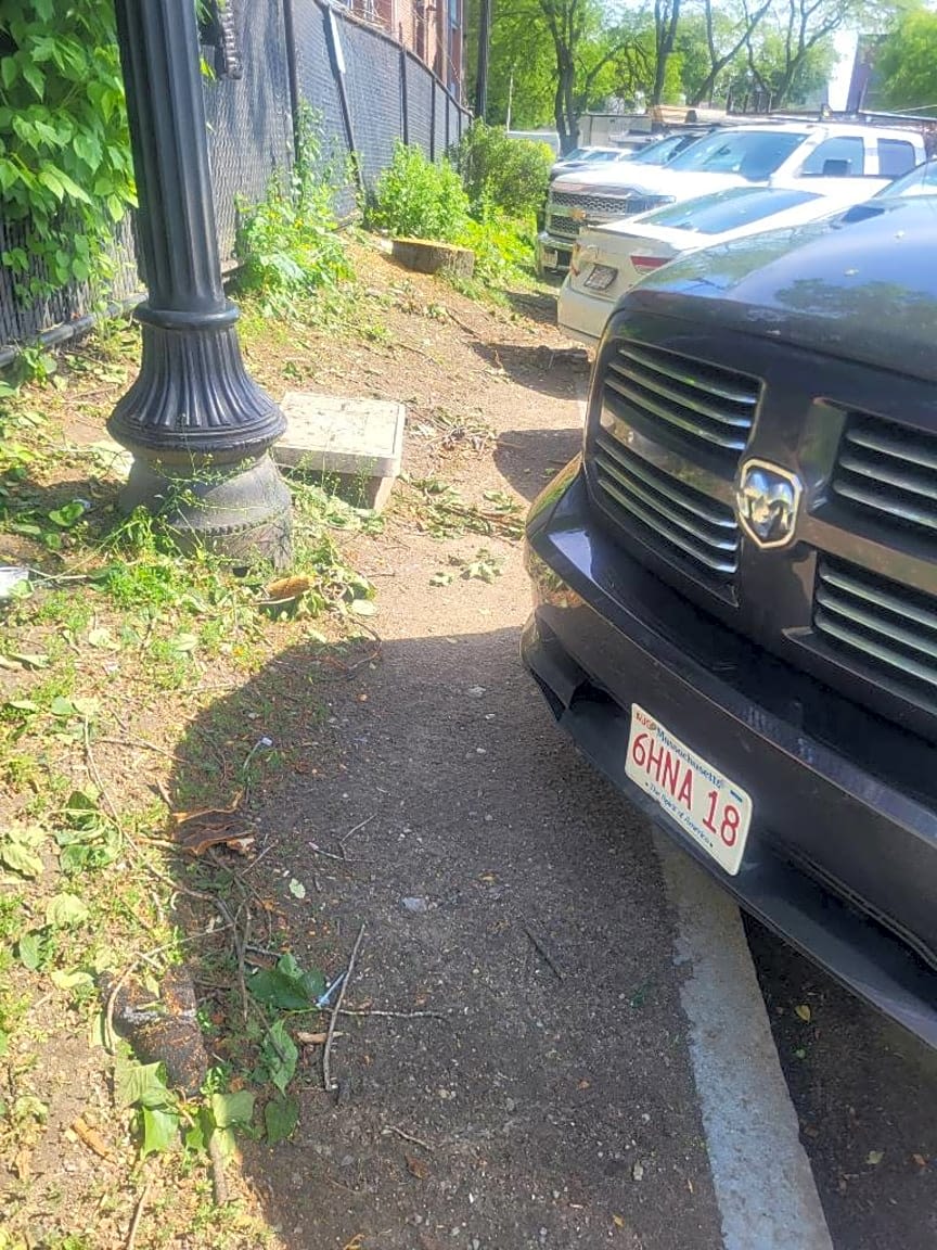 Image submitted with report
