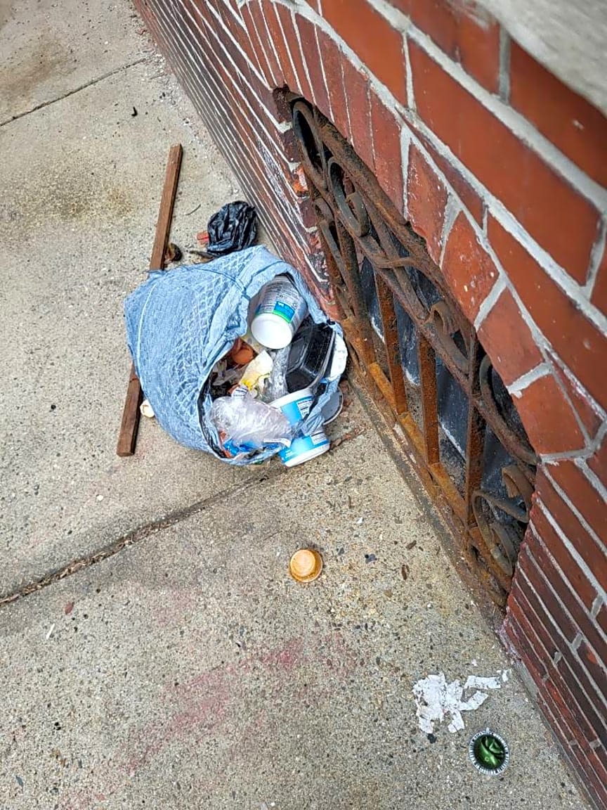 Image submitted with report