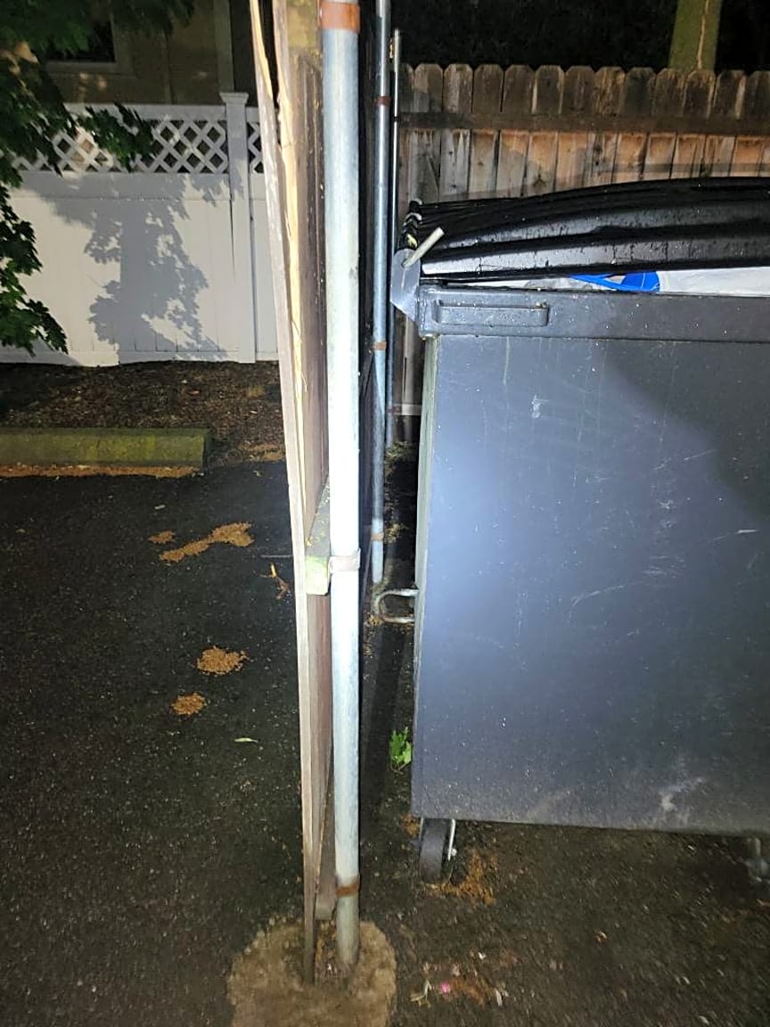 Image submitted with report