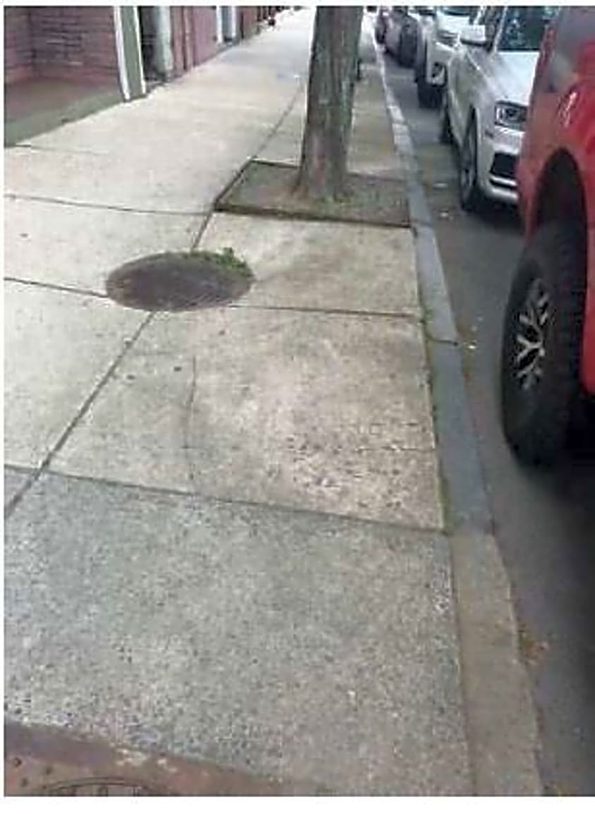 Image submitted with report