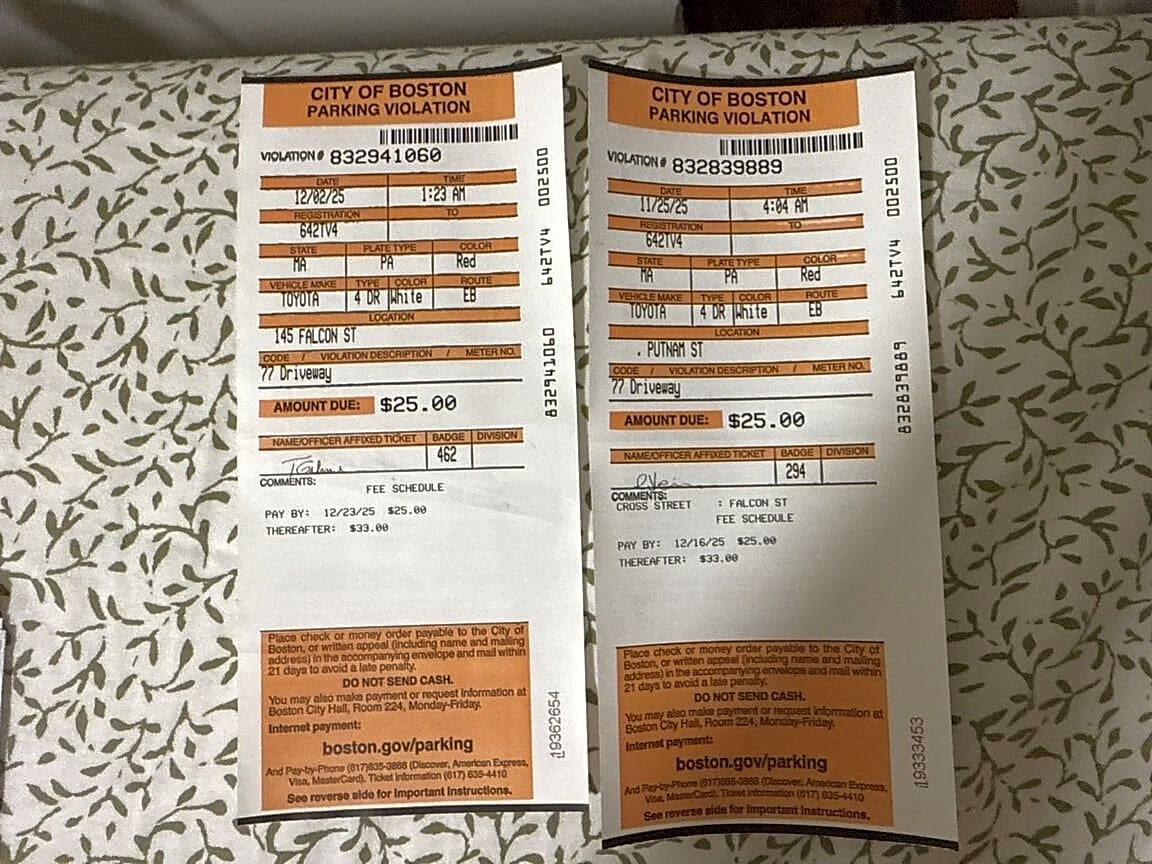 Image submitted with report