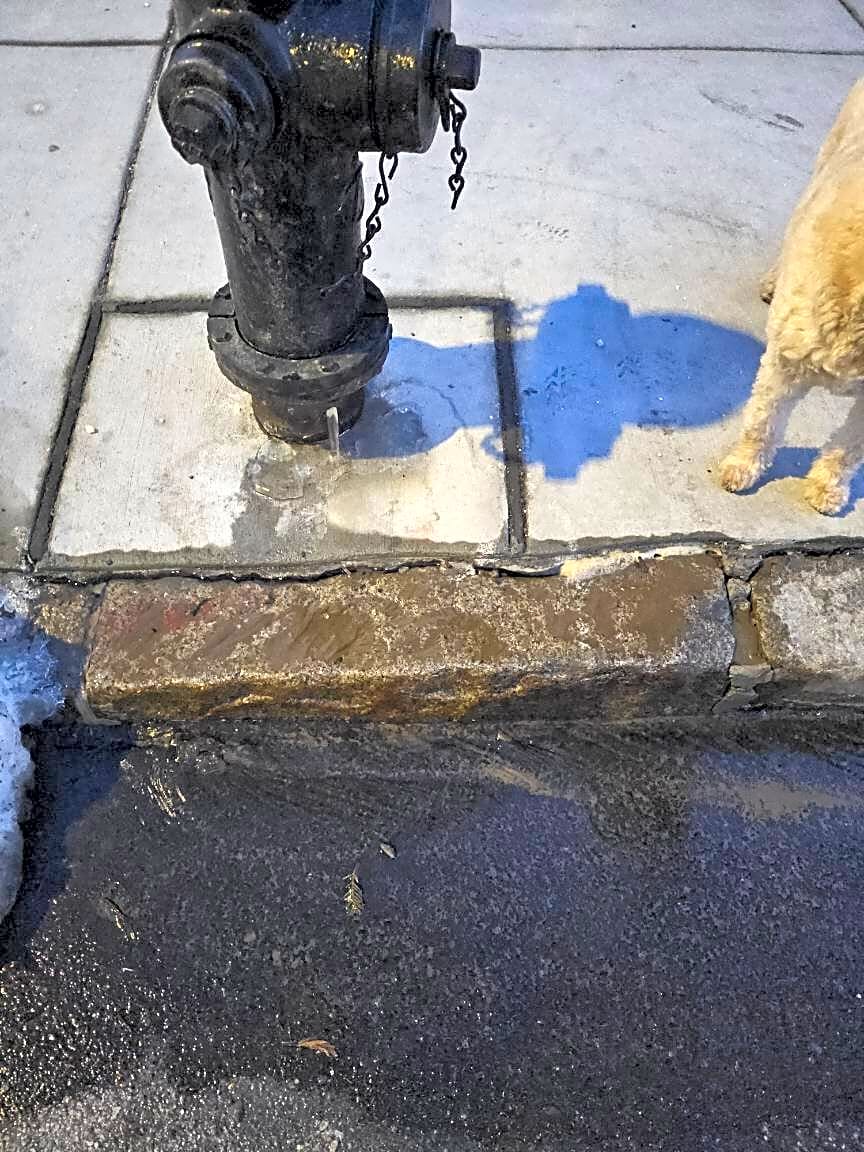 Image submitted with report