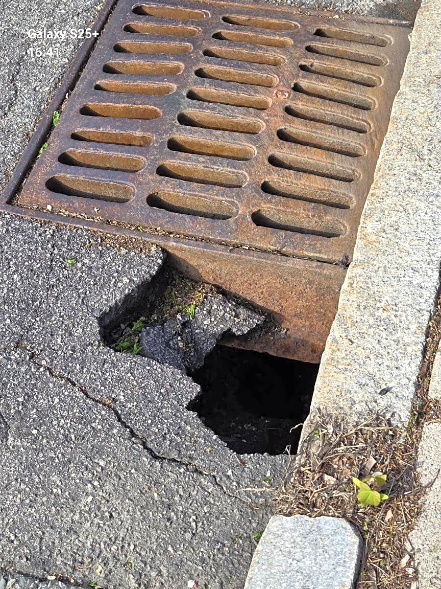 Image submitted with report