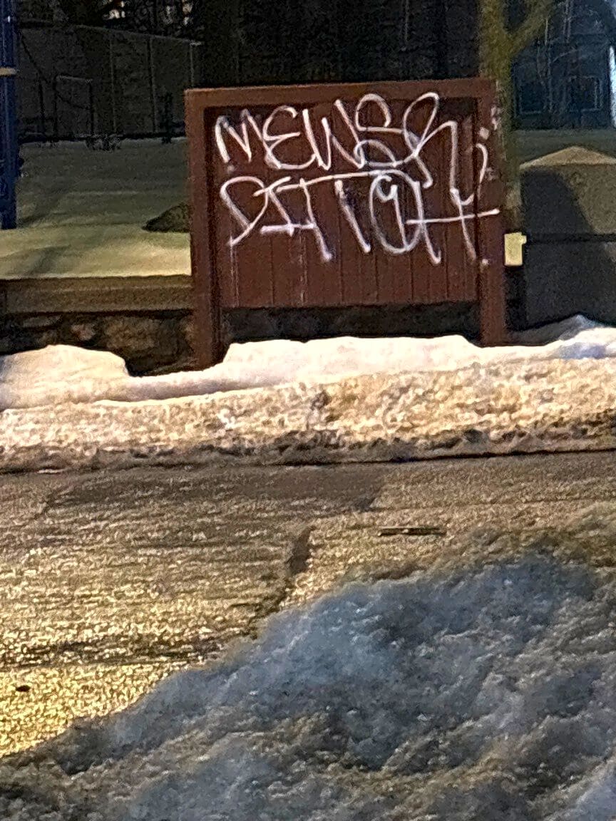 Image submitted with report