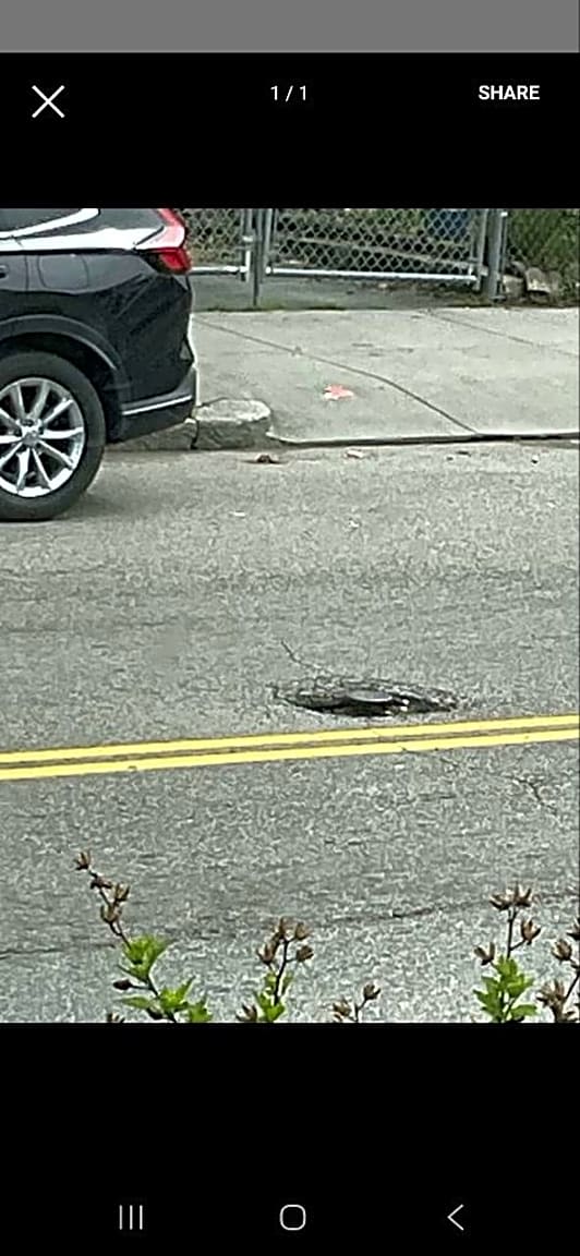 Image submitted with report