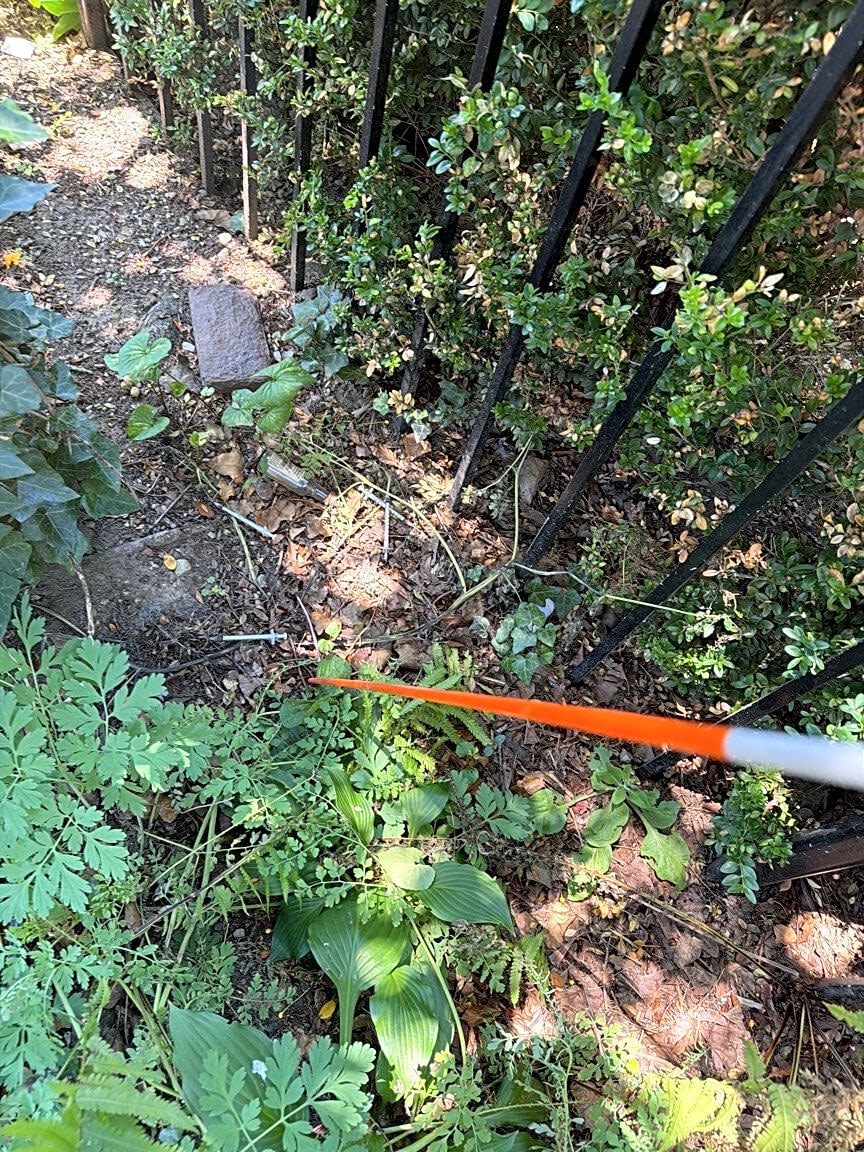 Image submitted with report