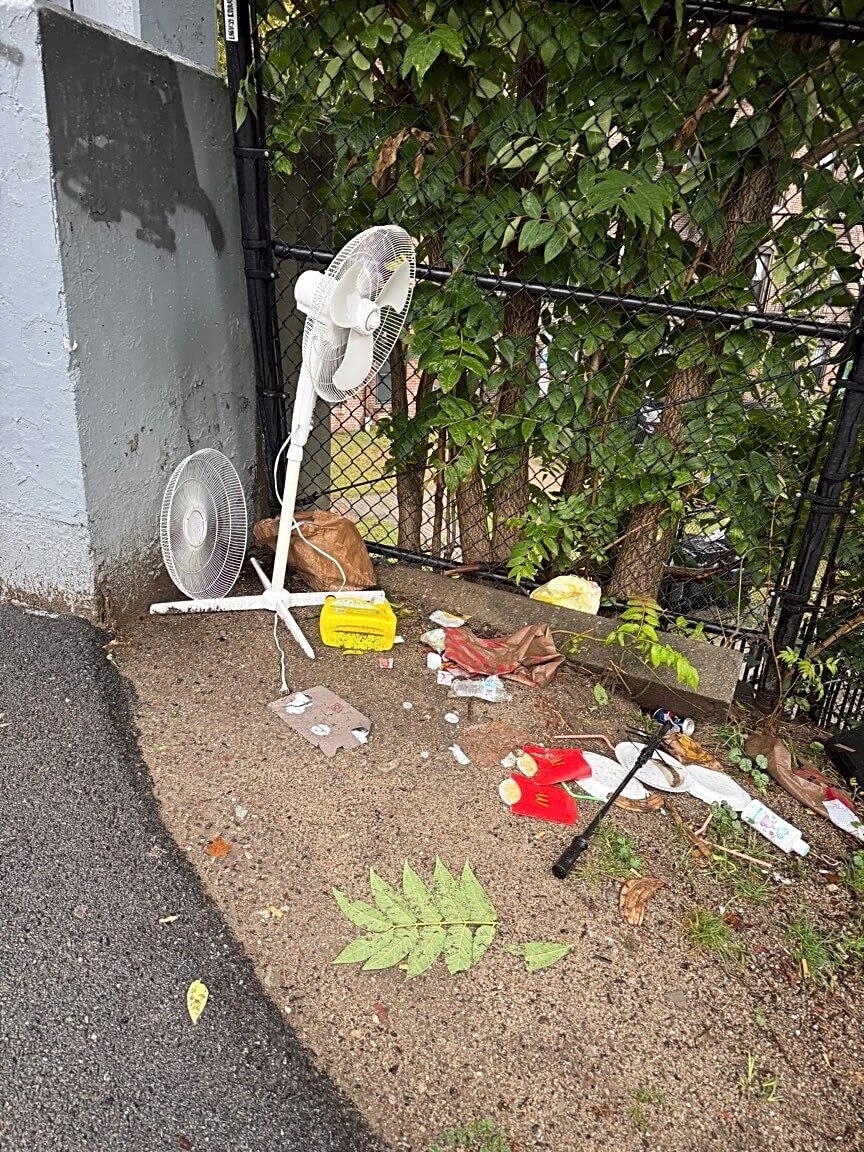 Image submitted with report