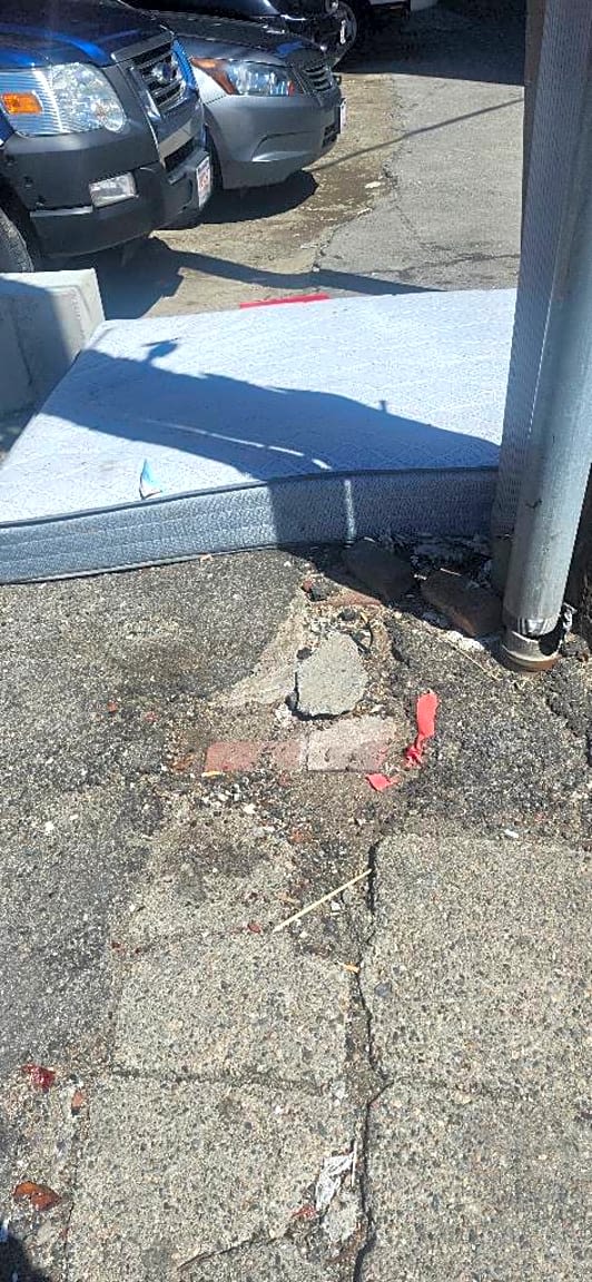 Image submitted with report