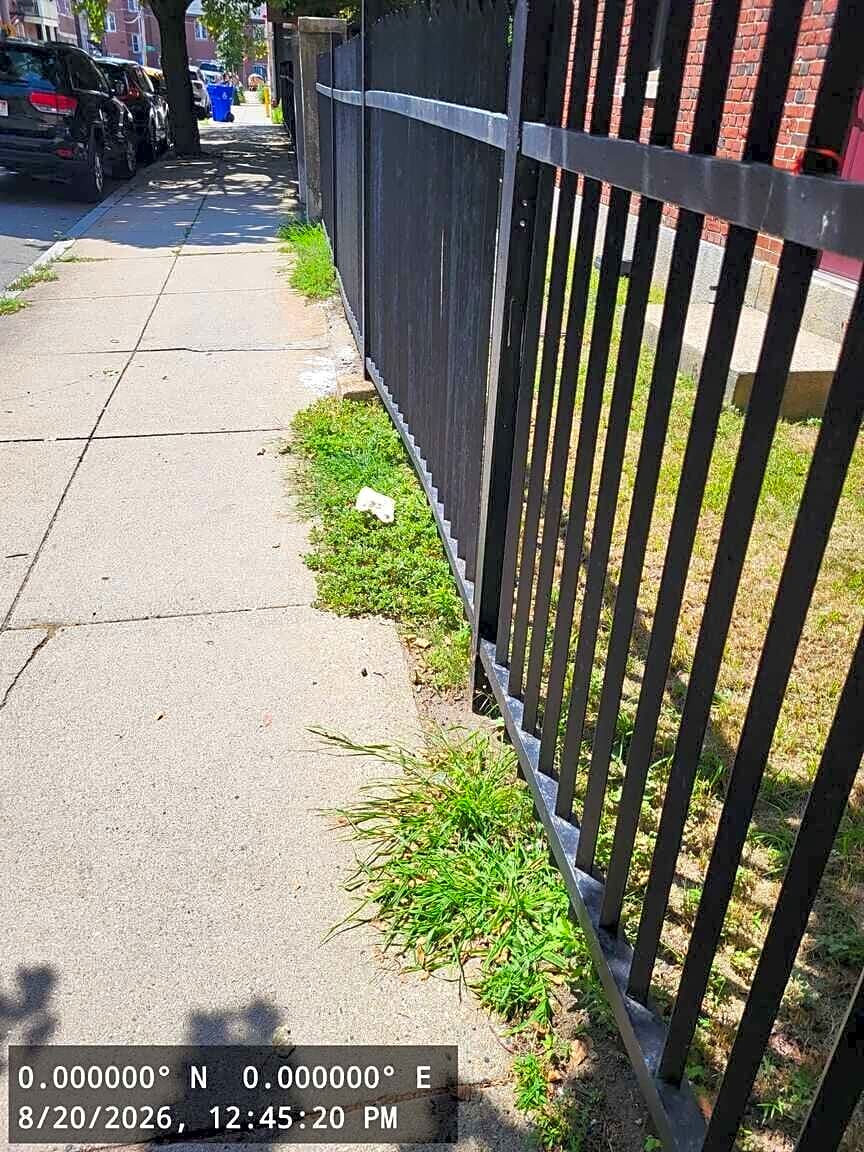 Image submitted with report
