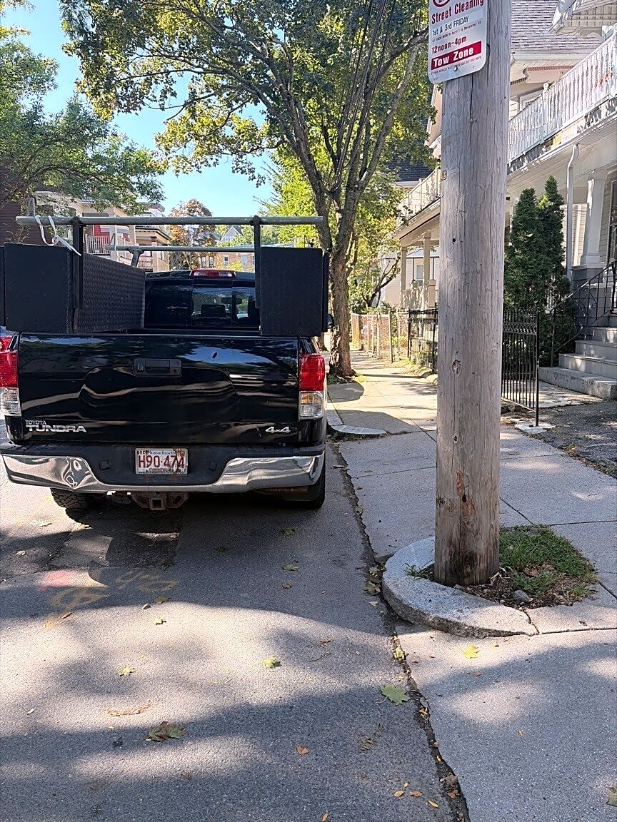 Image submitted with report