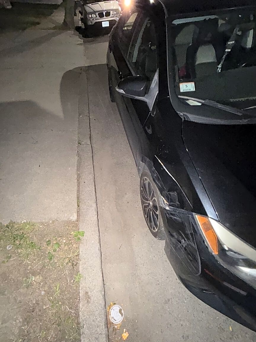 Image submitted with report