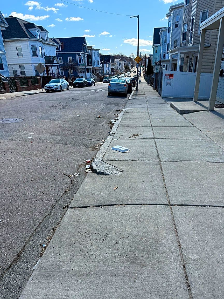 Image submitted with report