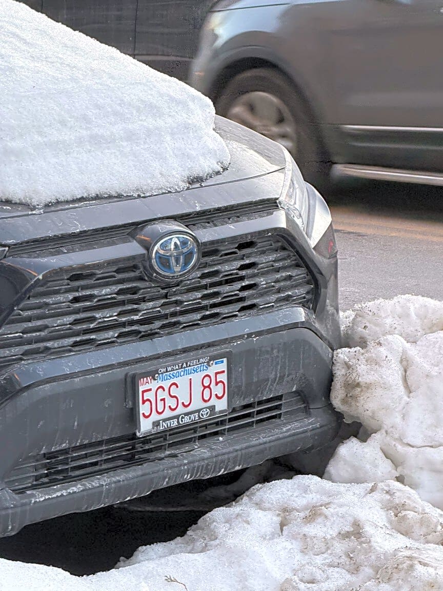 Image submitted with report