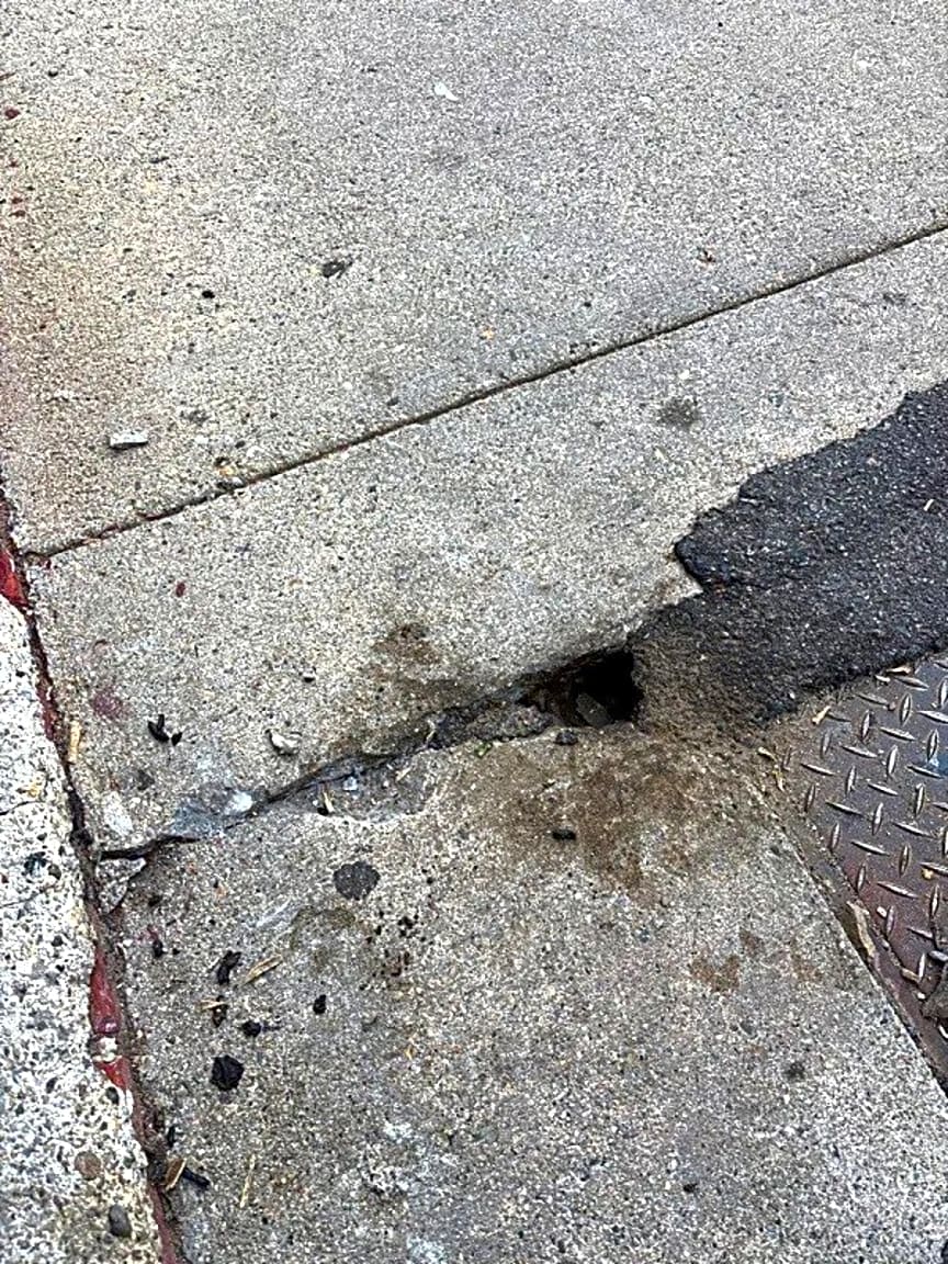 Image submitted with report