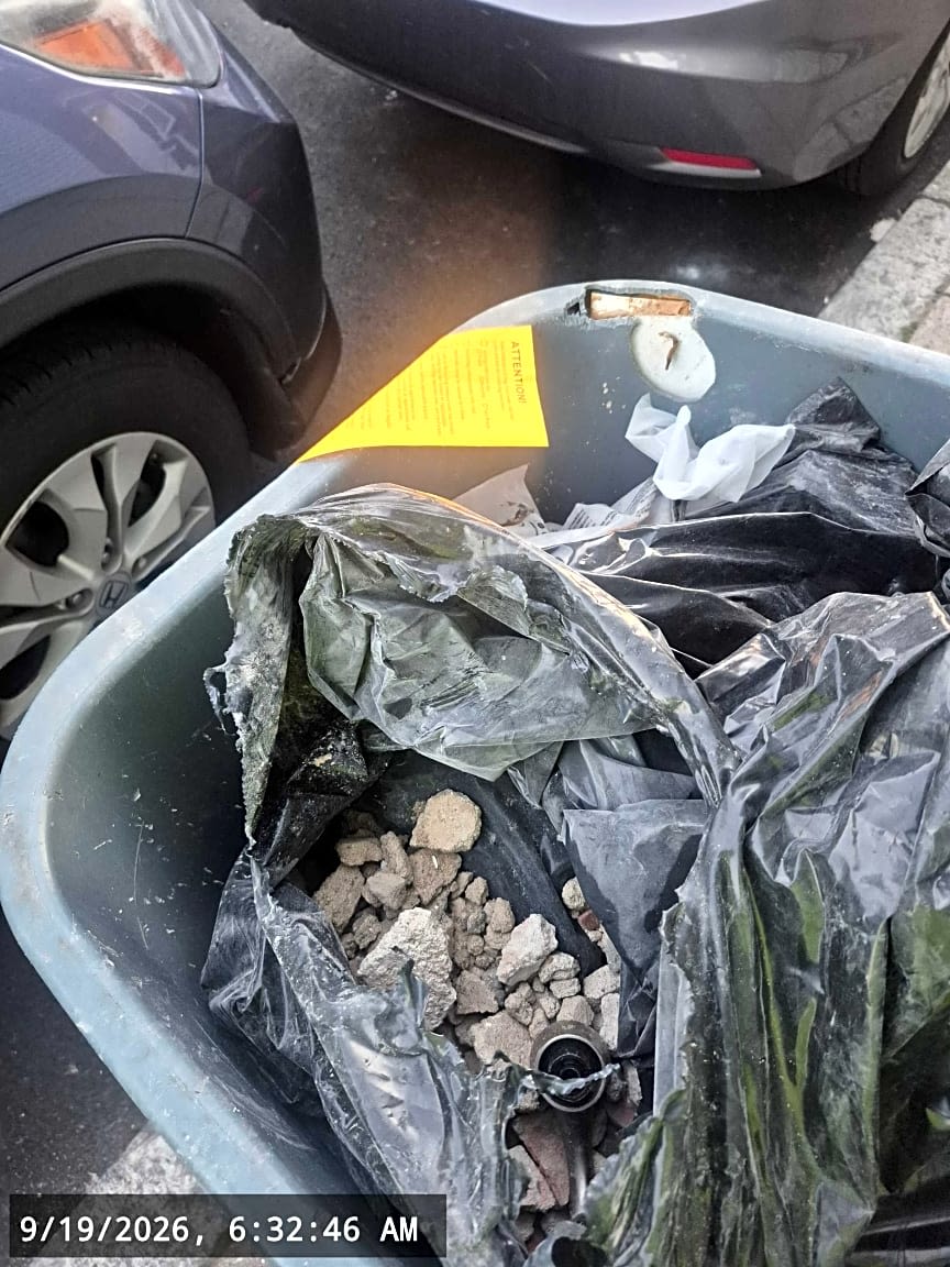 Image submitted with report