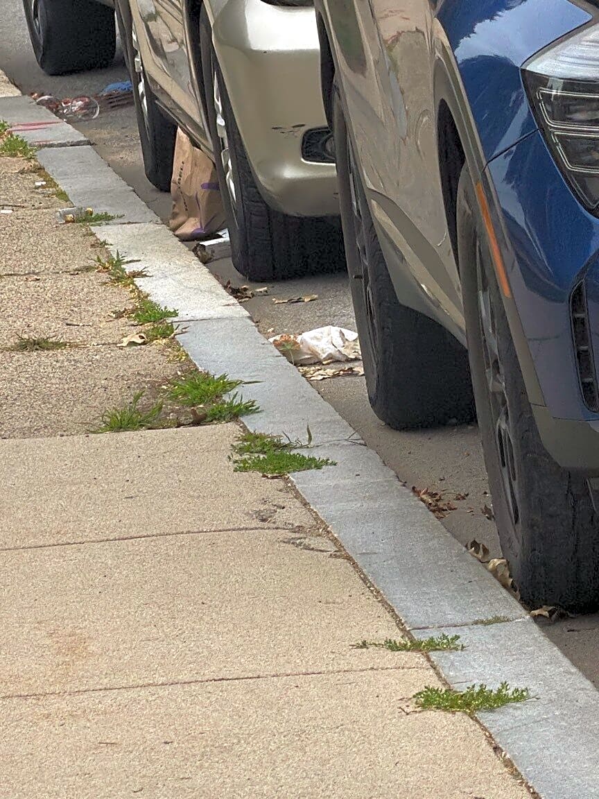 Image submitted with report