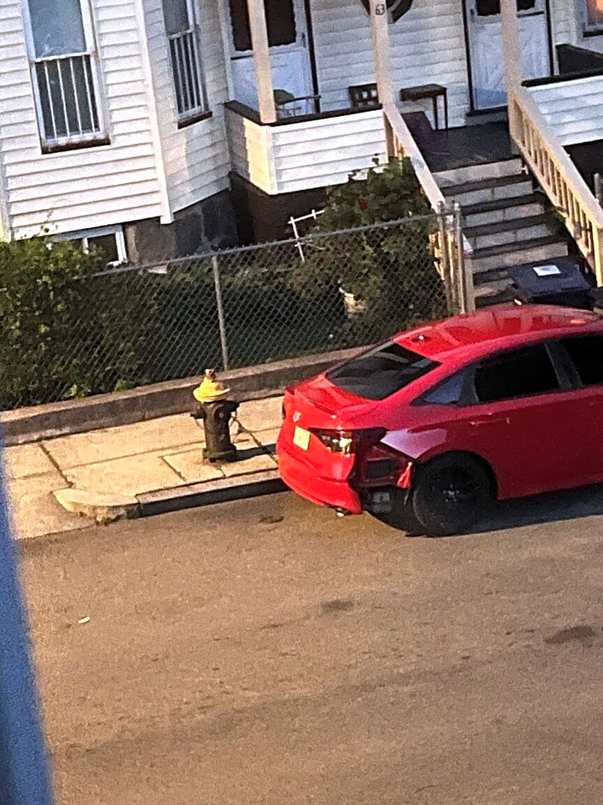 Image submitted with report