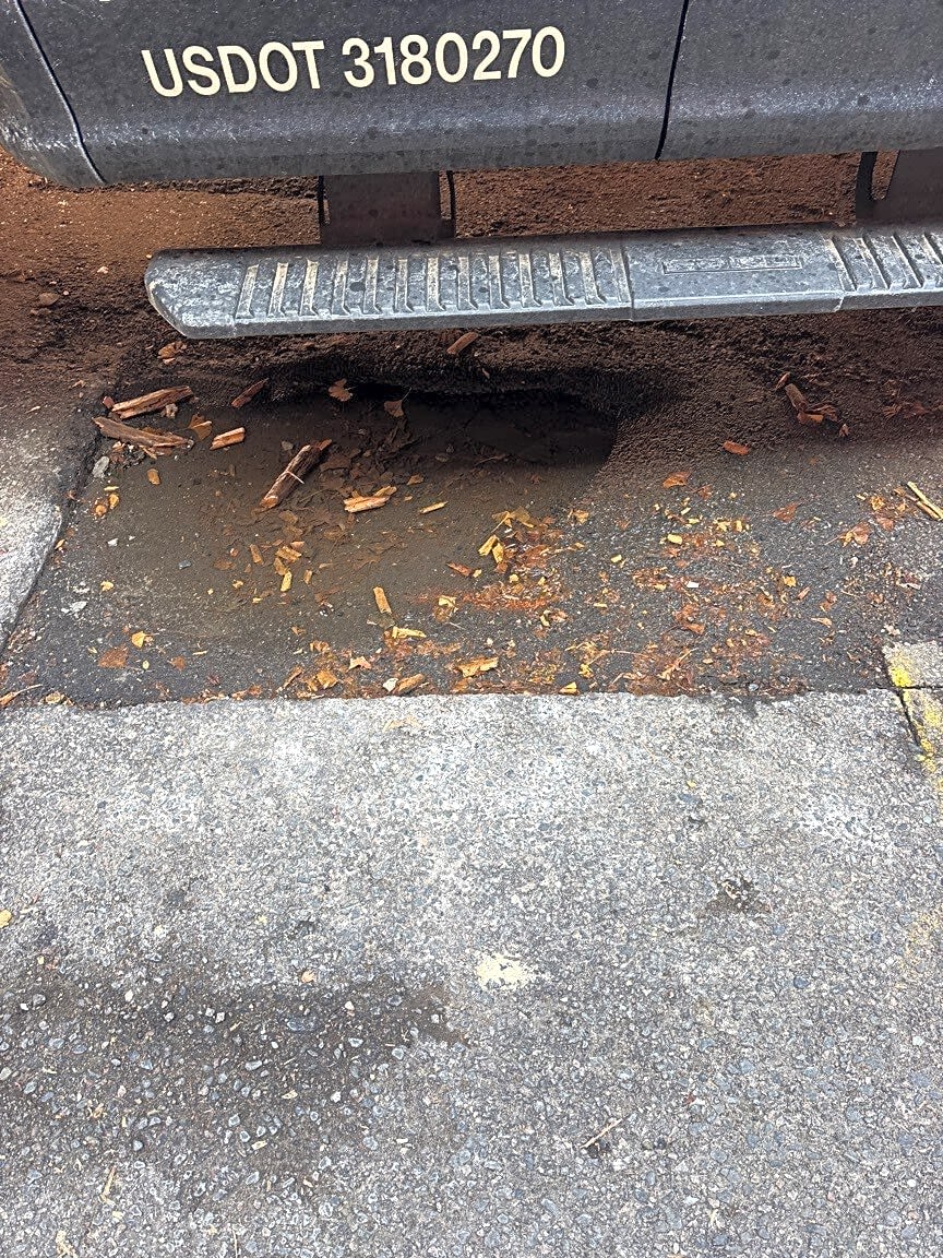 Image submitted with report