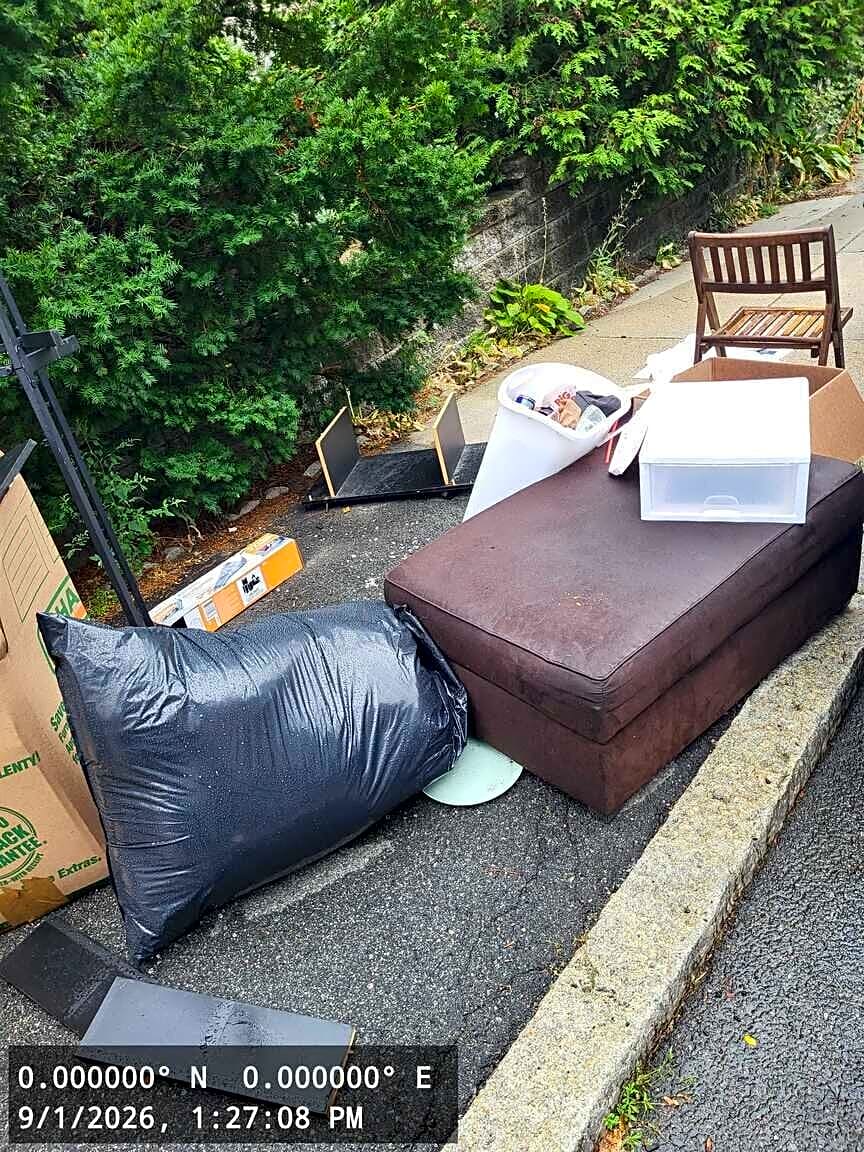 Image submitted with report
