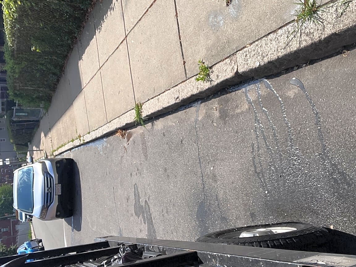 Image submitted with report