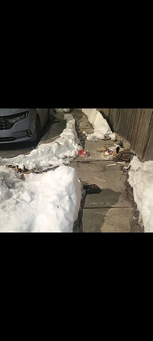 Image submitted with report