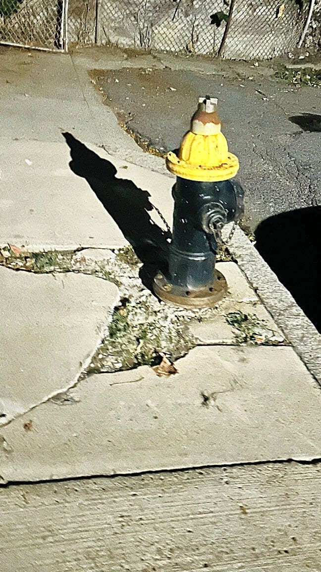 Image submitted with report