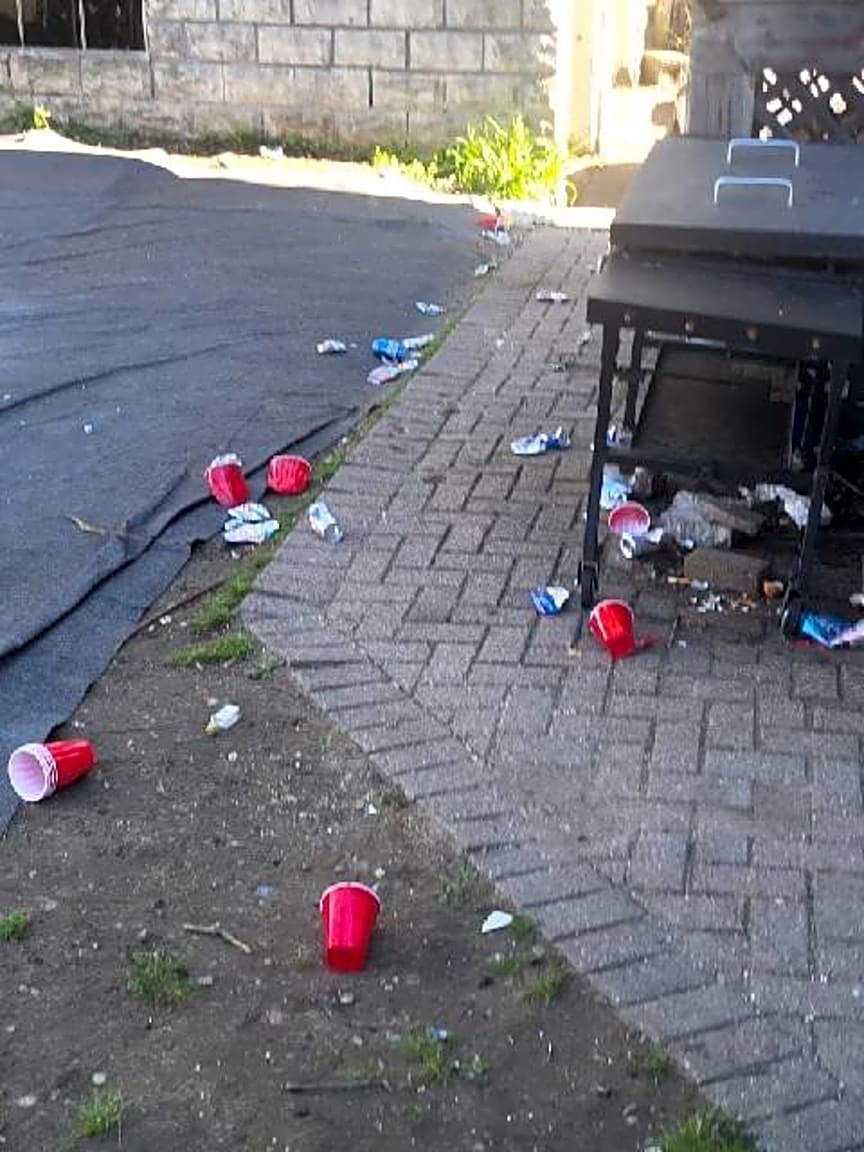 Image submitted with report