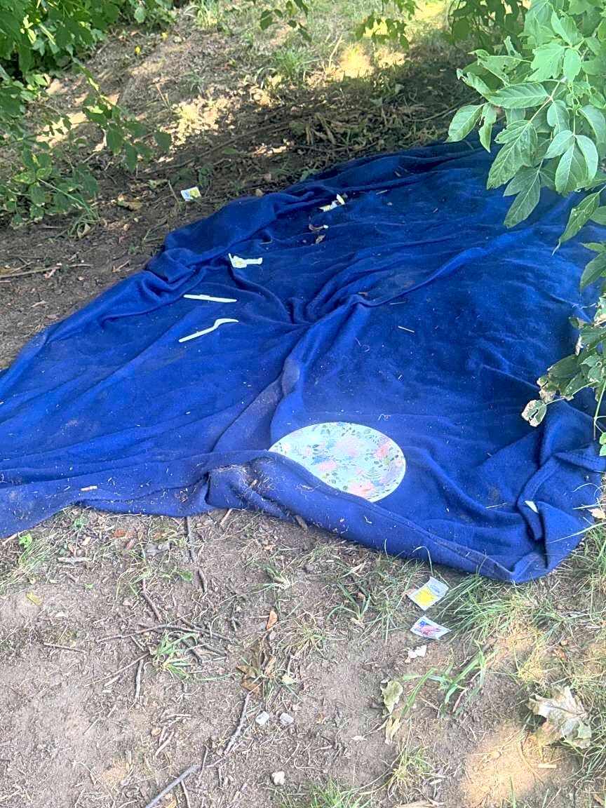 Image submitted with report
