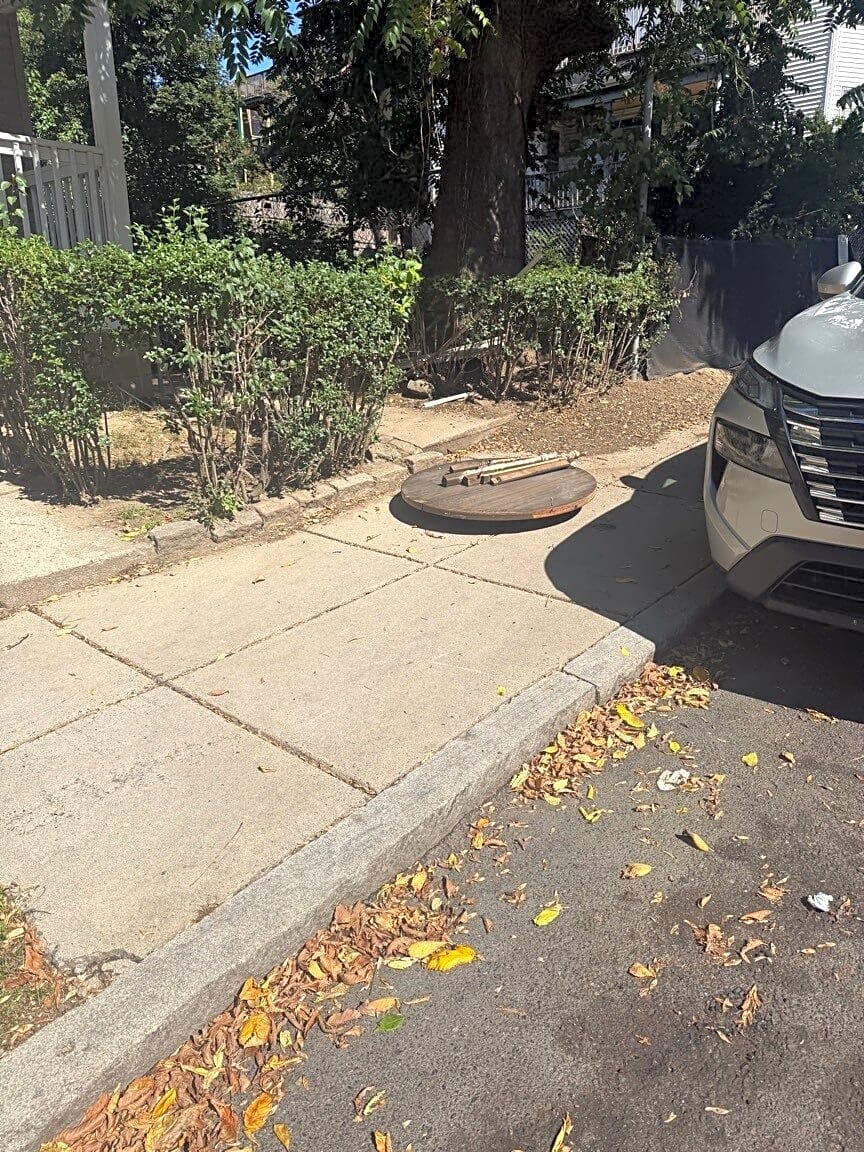 Image submitted with report