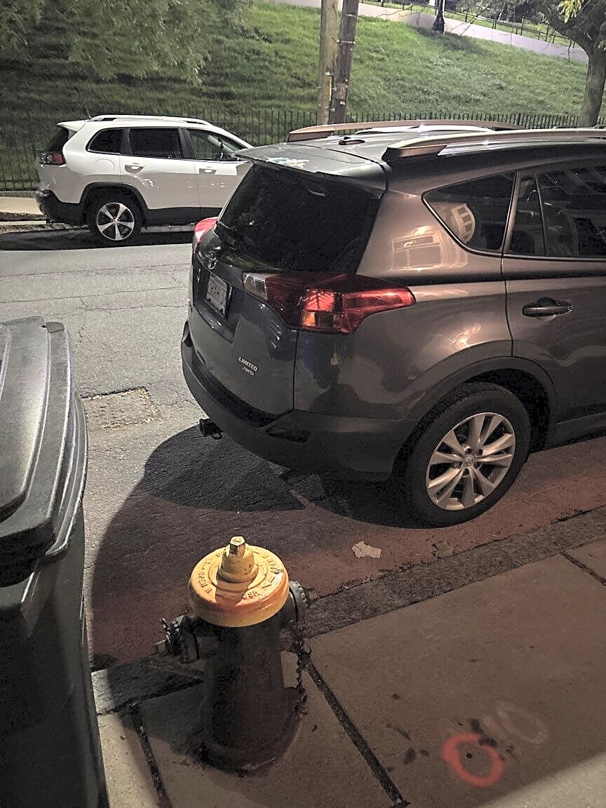 Image submitted with report