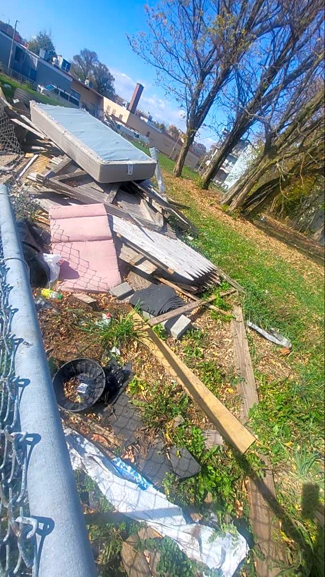 Image submitted with report