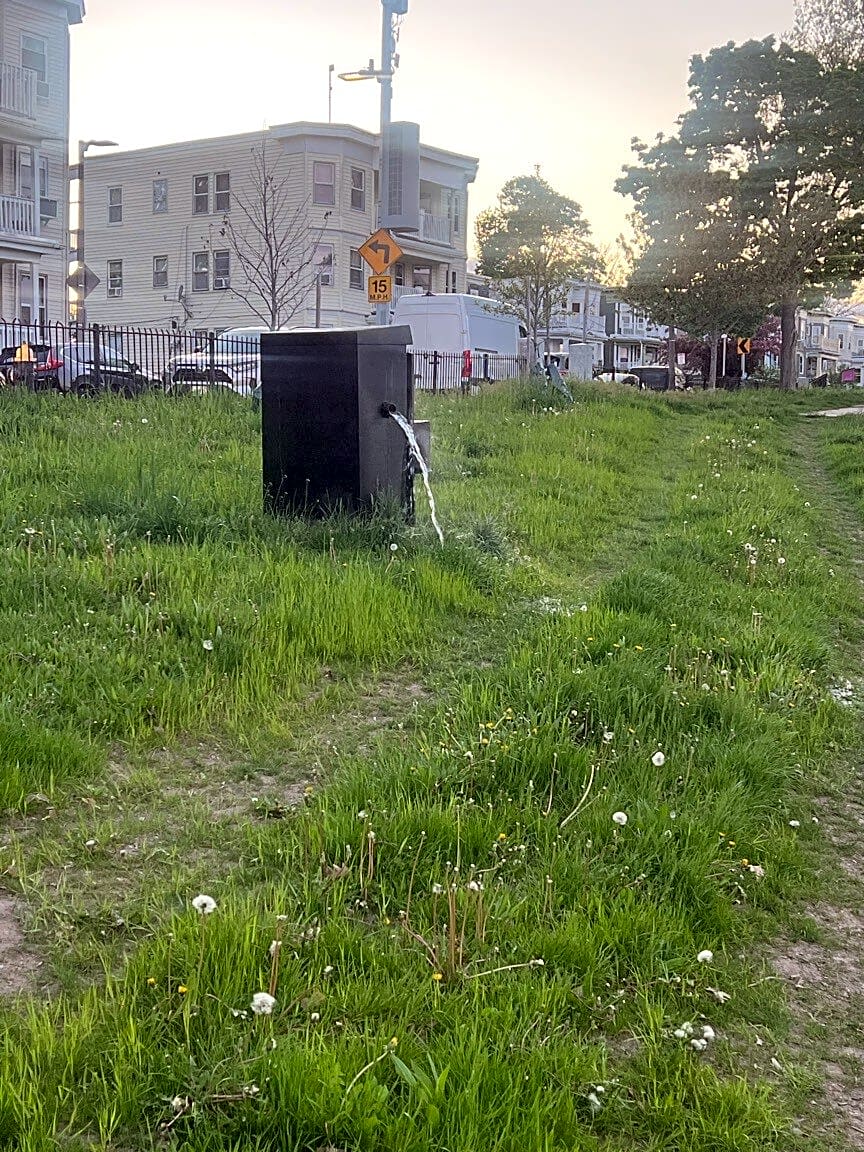 Image submitted with report