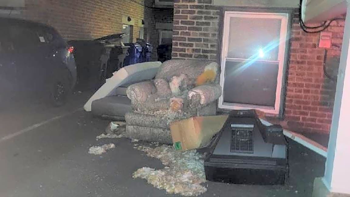Image submitted with report