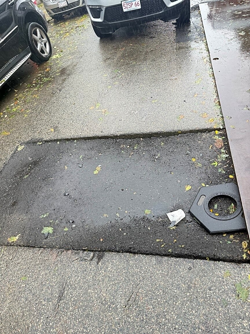 Image submitted with report