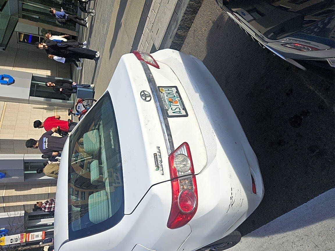 Image submitted with report