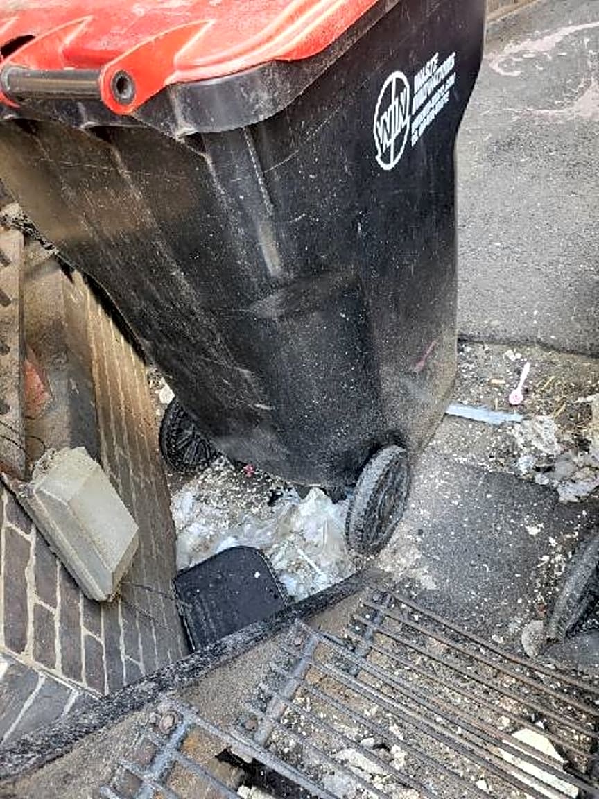 Image submitted with report