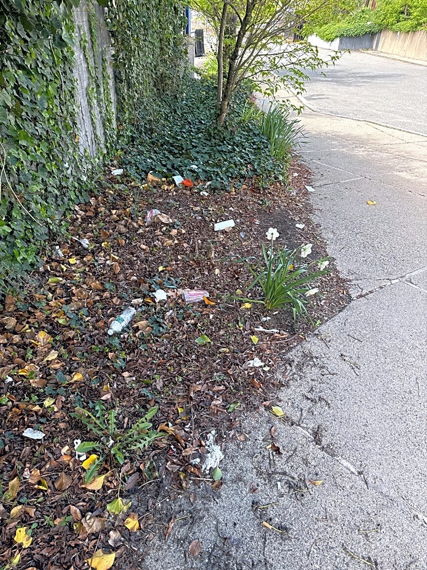 Image submitted with report