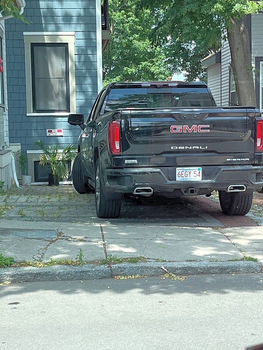 Image submitted with report