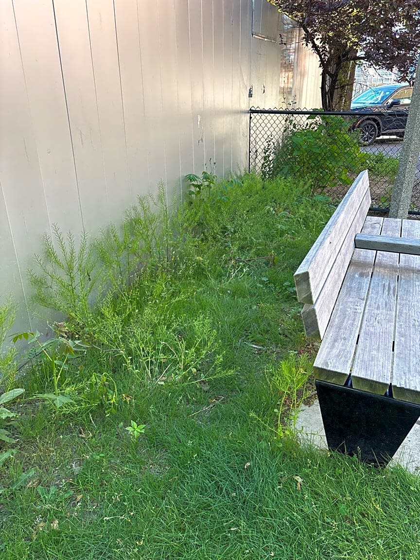 Image submitted with report