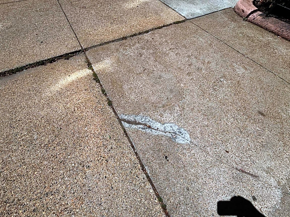 Image submitted with report