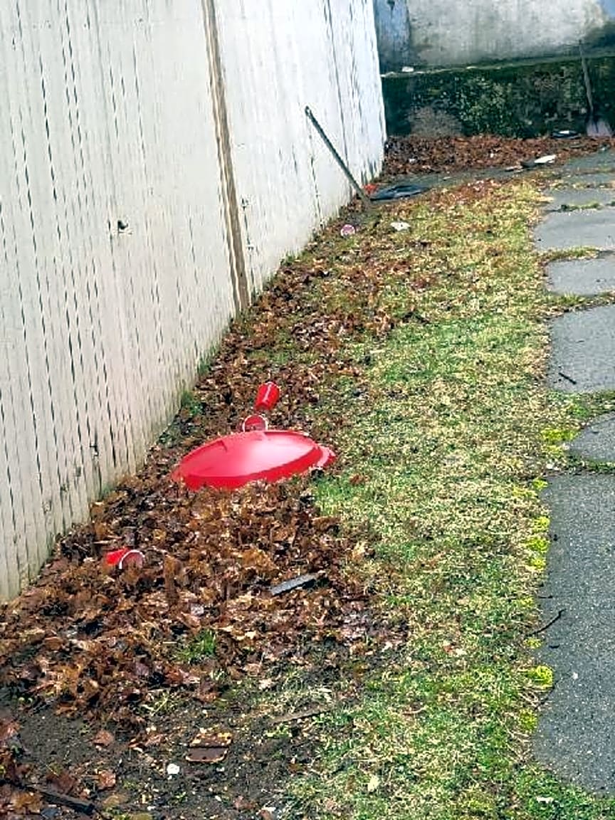 Image submitted with report