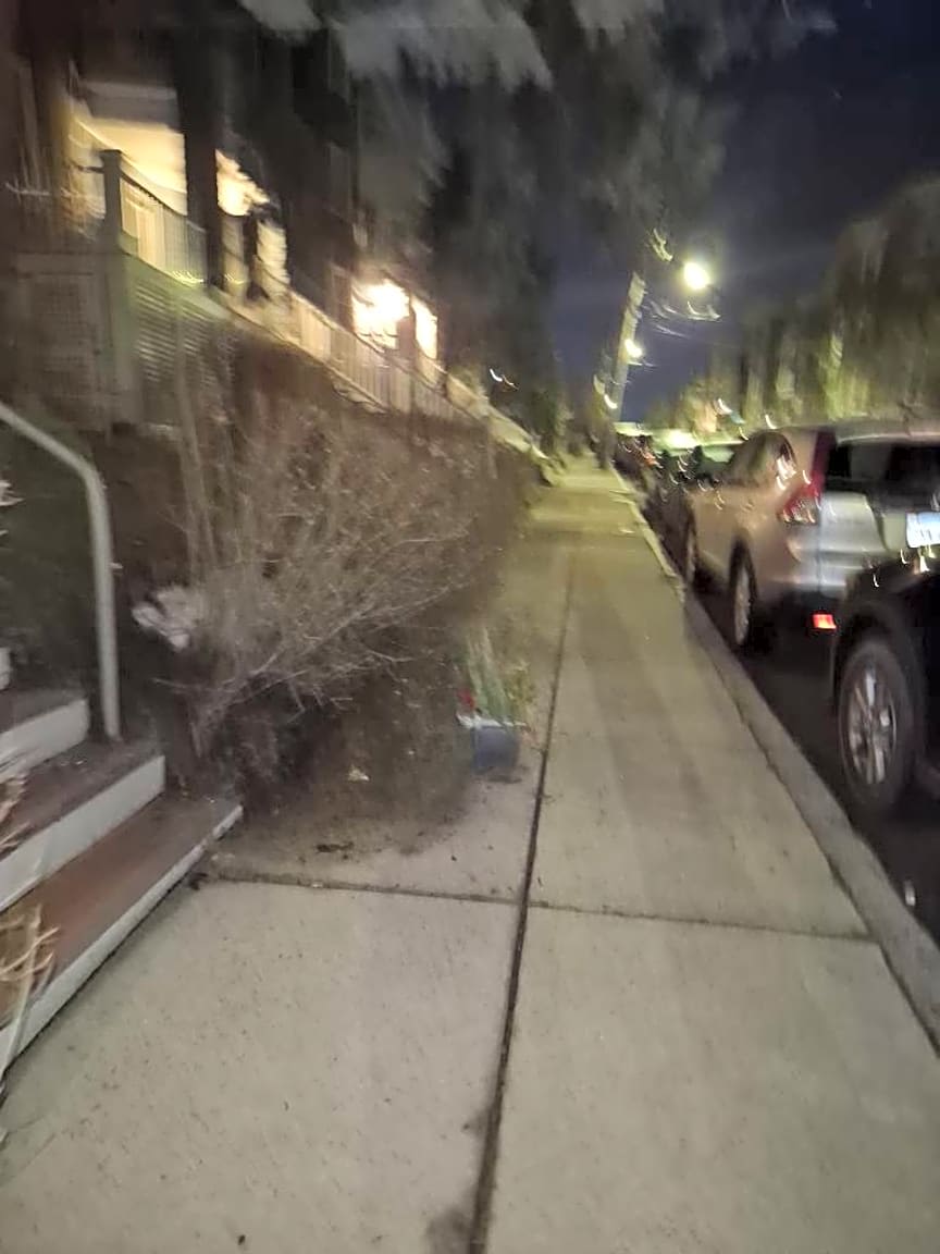 Image submitted with report