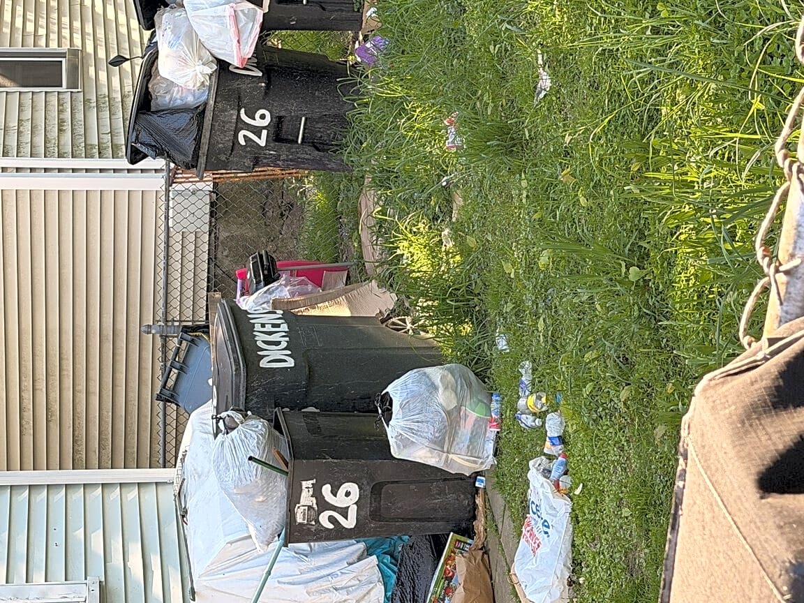 Image submitted with report