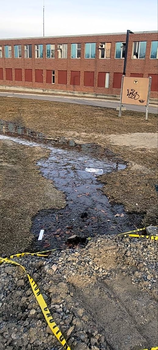 Image submitted with report