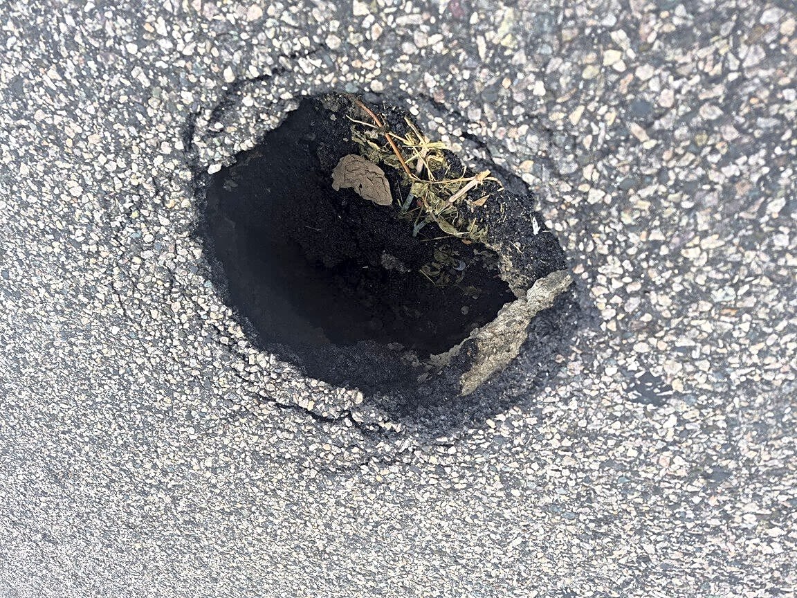 Image submitted with report