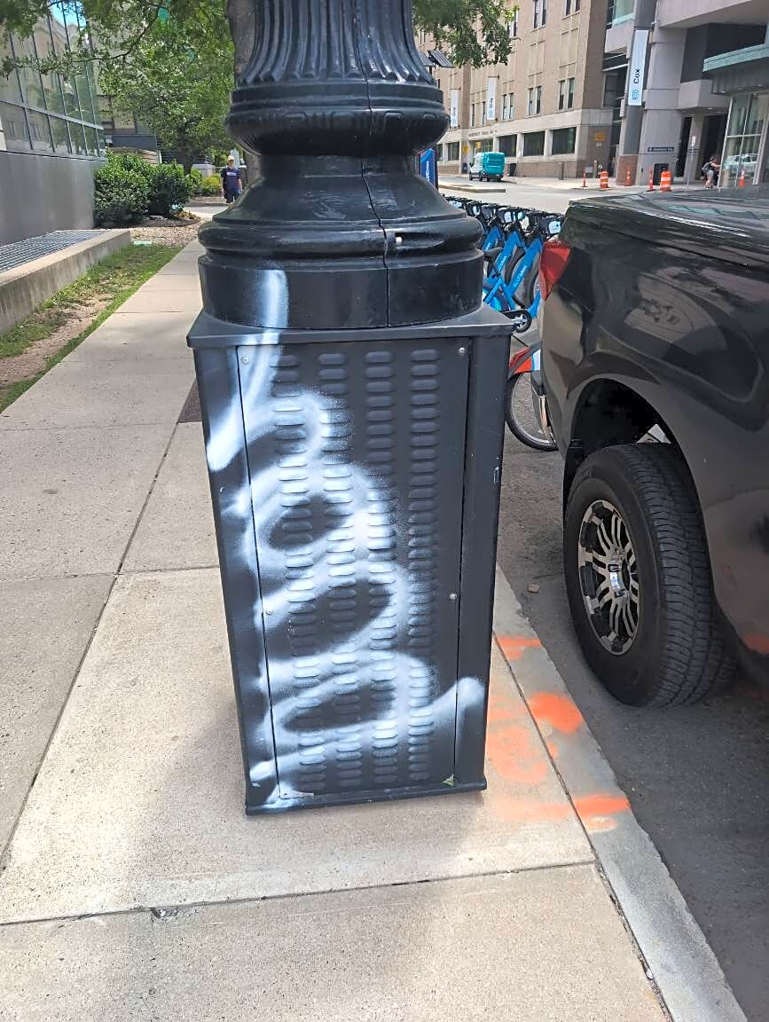 Image submitted with report