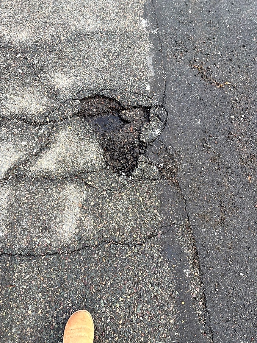 Image submitted with report