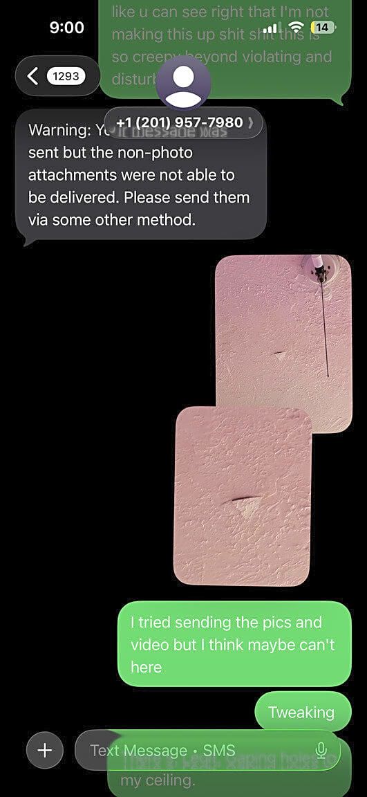 Image submitted with report