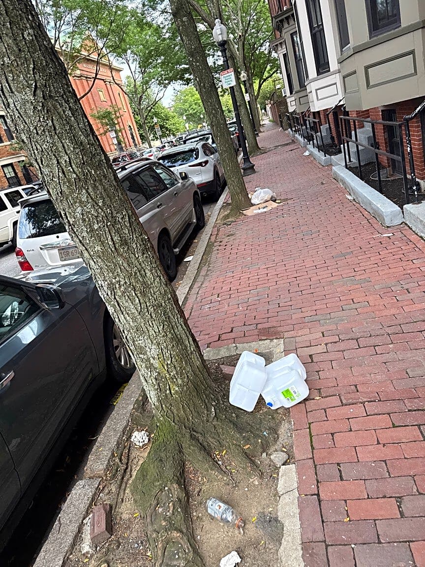 Image submitted with report