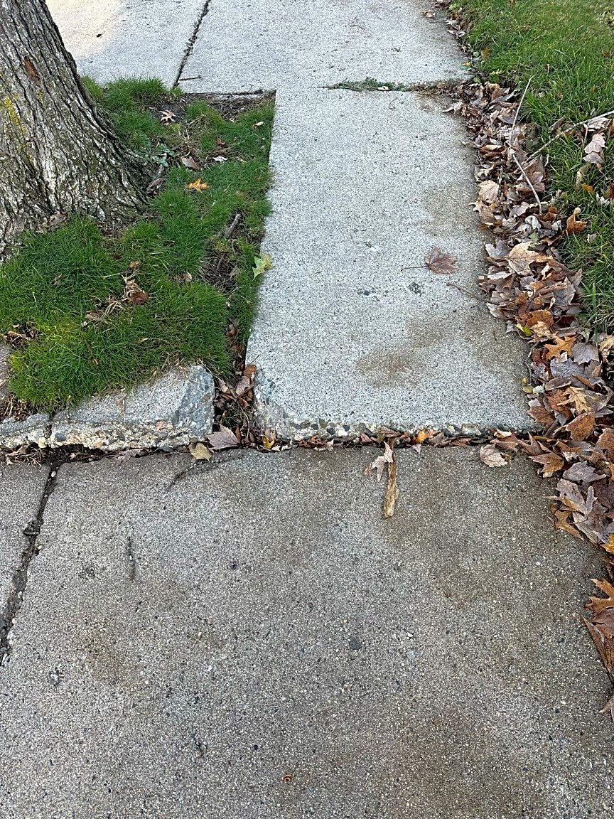 Image submitted with report